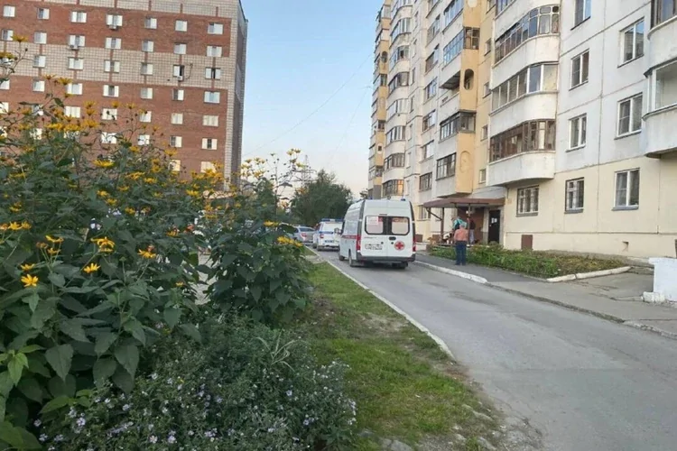 "Деда не бейте!": в Новосибирске цыгане напали на автомобилиста из-за парковочного места