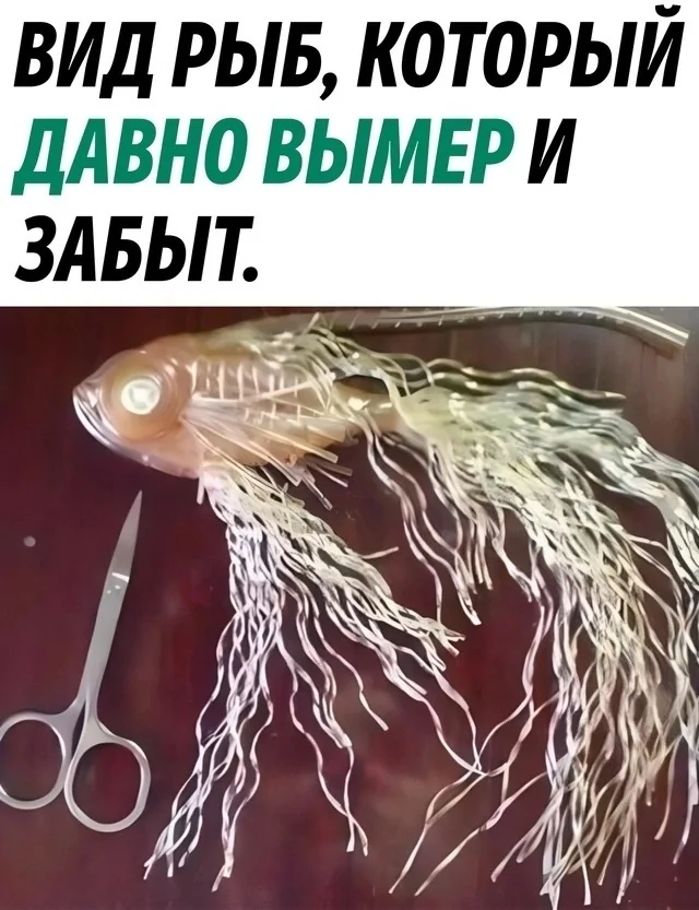 f23f09e2c98f0799d2a78467648d46df.jpg.web