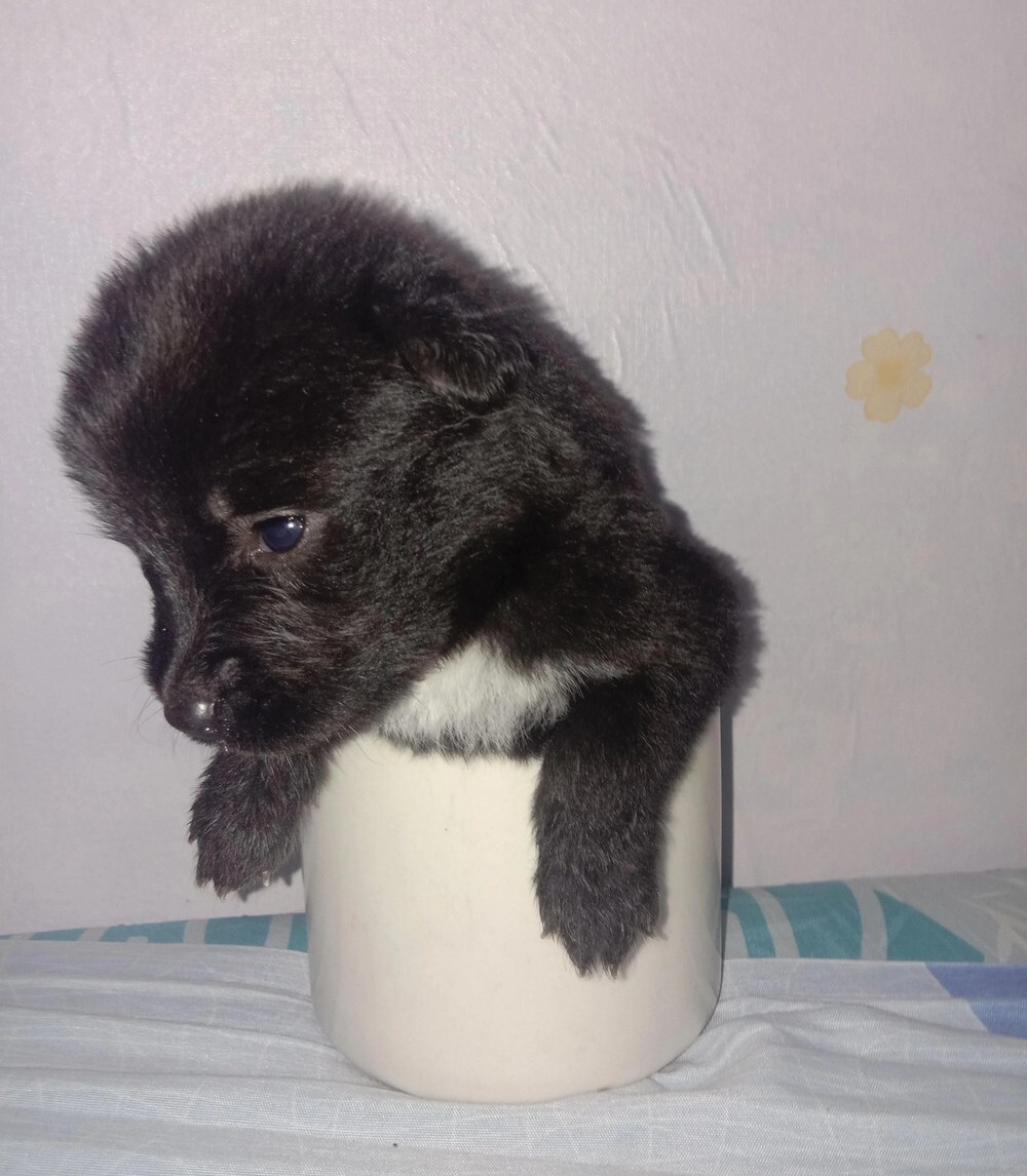 Утро задалось