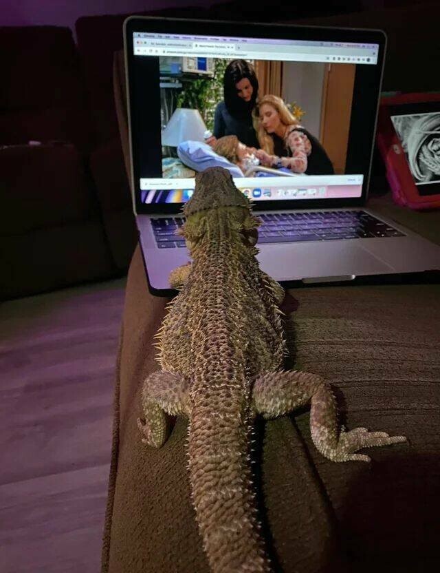 Намешалось