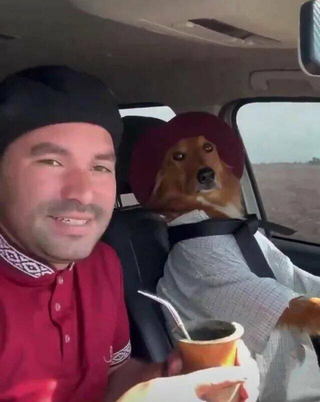 Намешалось
