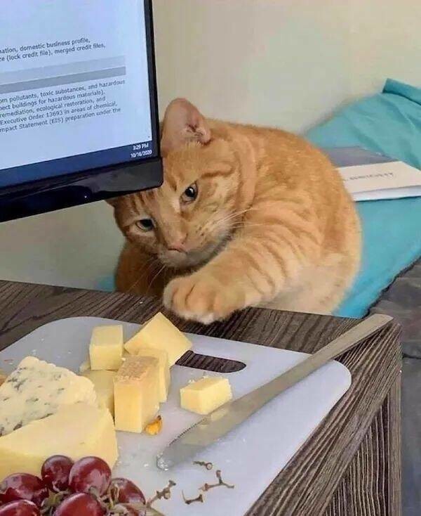 Намешалось