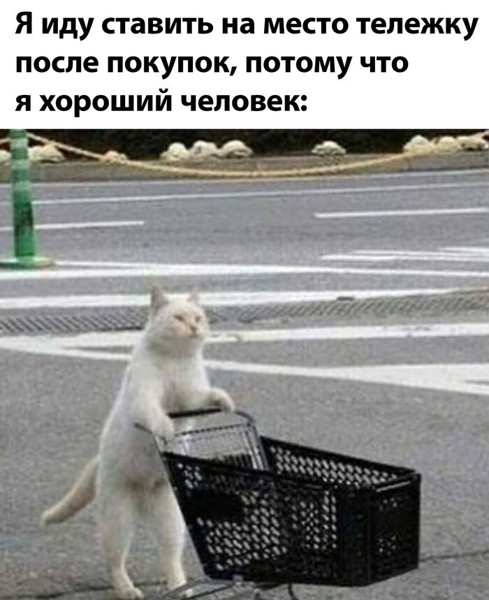 Скрины из соцсетей            