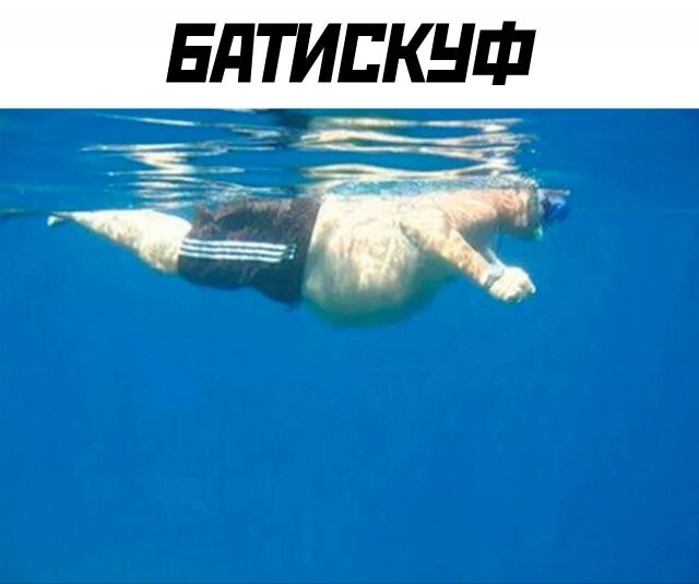 Скрины из соцсетей            
