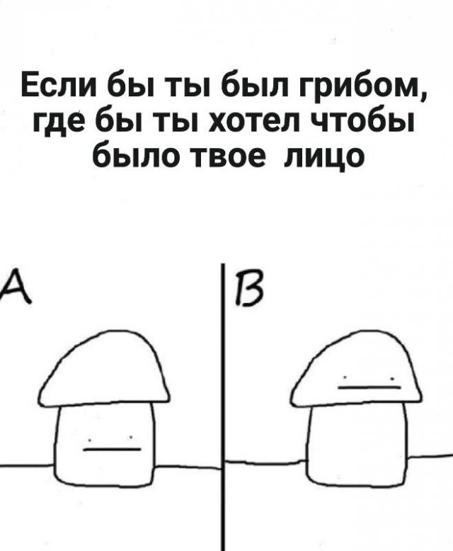 Скрины из соцсетей            