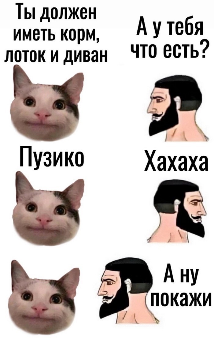 Скрины из соцсетей            