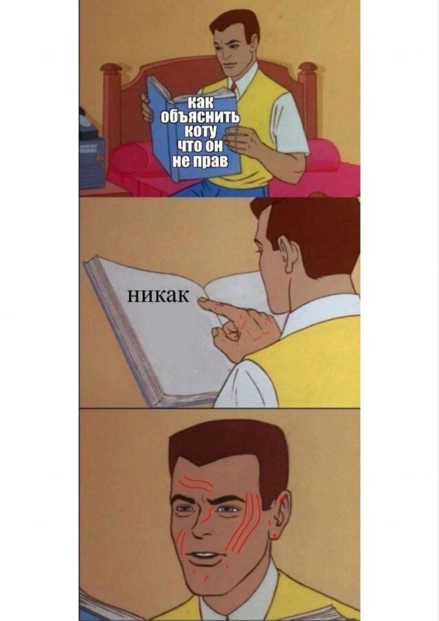 Скрины из соцсетей            