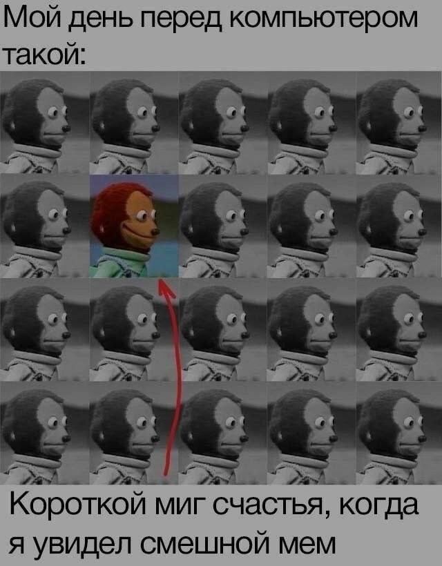 Скрины из соцсетей            