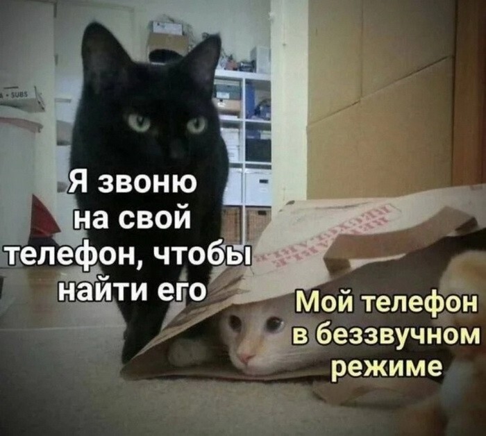 Скрины из соцсетей            