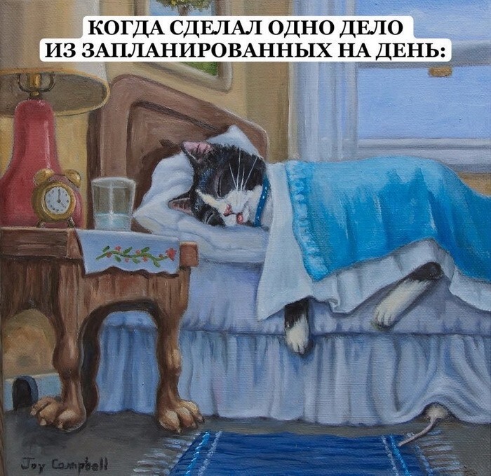 Скрины из соцсетей            
