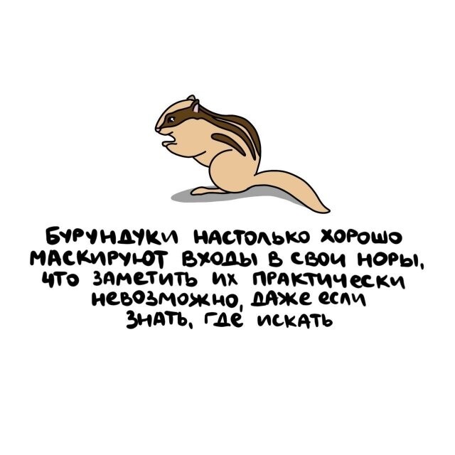 А вдруг ты не знал…