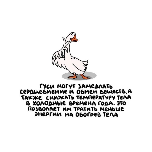 А вдруг ты не знал…