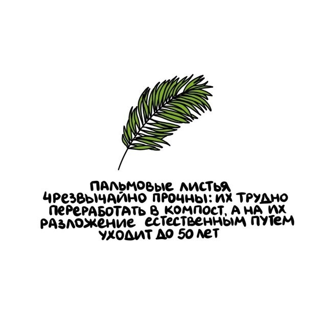 А вдруг ты не знал…