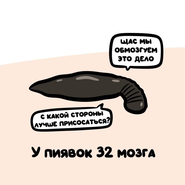 А вдруг ты не знал…