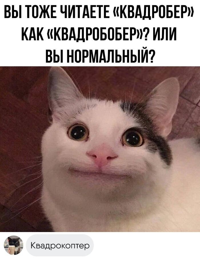 Улыбатор