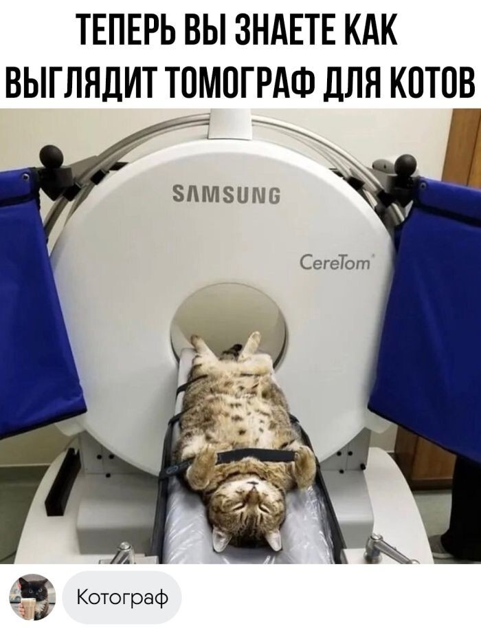 Улыбатор