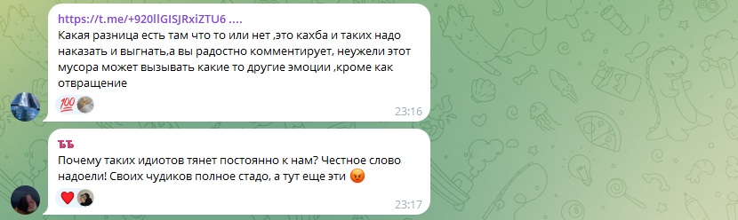 "Перед тем, как их сюда пускать, надо проверить справку от психиатра!": полуобнажённая туристка снялась на фоне гор и вызвала возмущение у кавказцев