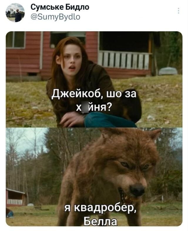 Не ищите здесь смысл. Здесь в основном маразм