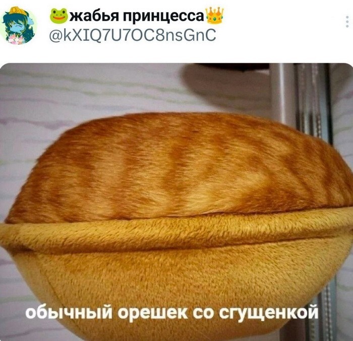 Не ищите здесь смысл. Здесь в основном маразм