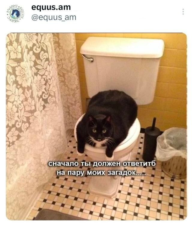 Не ищите здесь смысл. Здесь в основном маразм