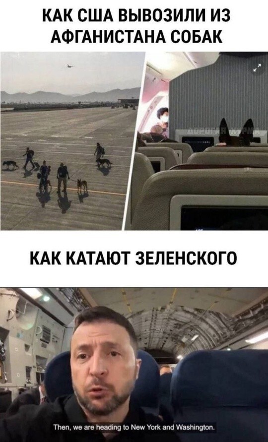 Как чемодан в багажнике возят гниду