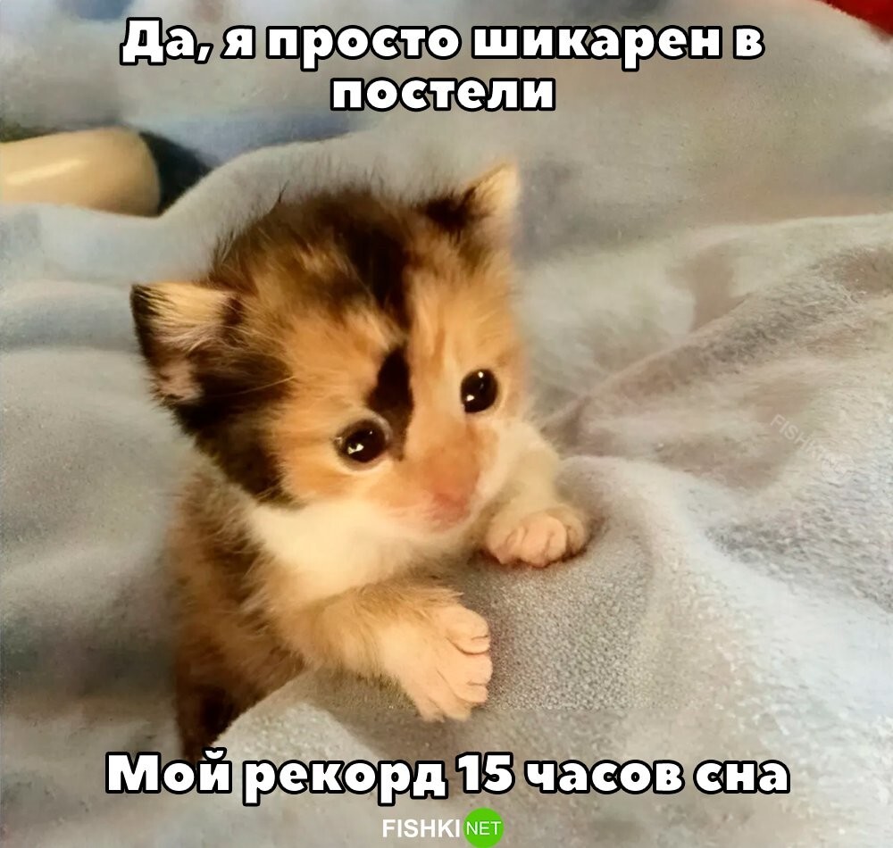 Рекордсмен! 