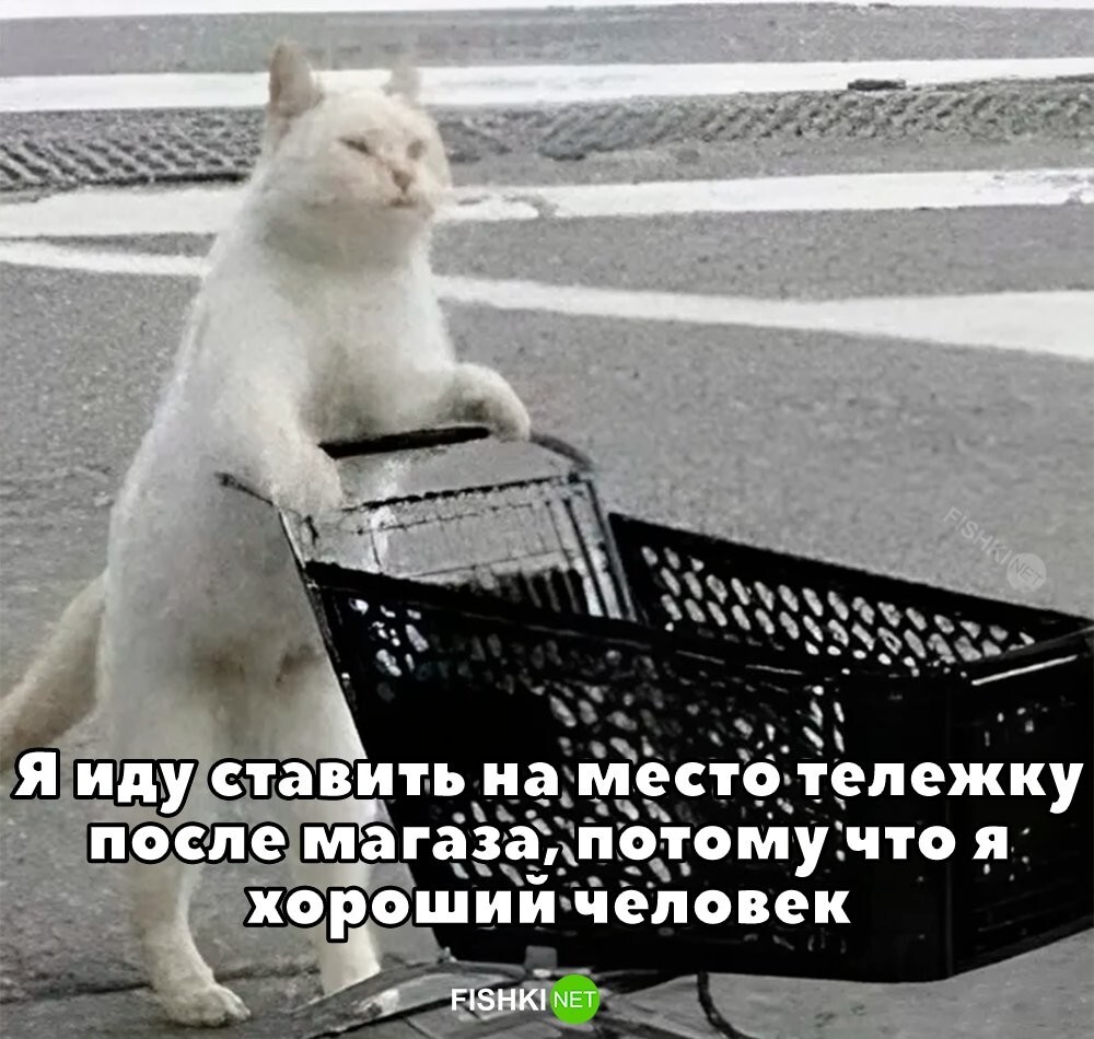 А вы так делаете? 