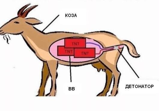 Израиль наносит новый подлый удар⁠⁠