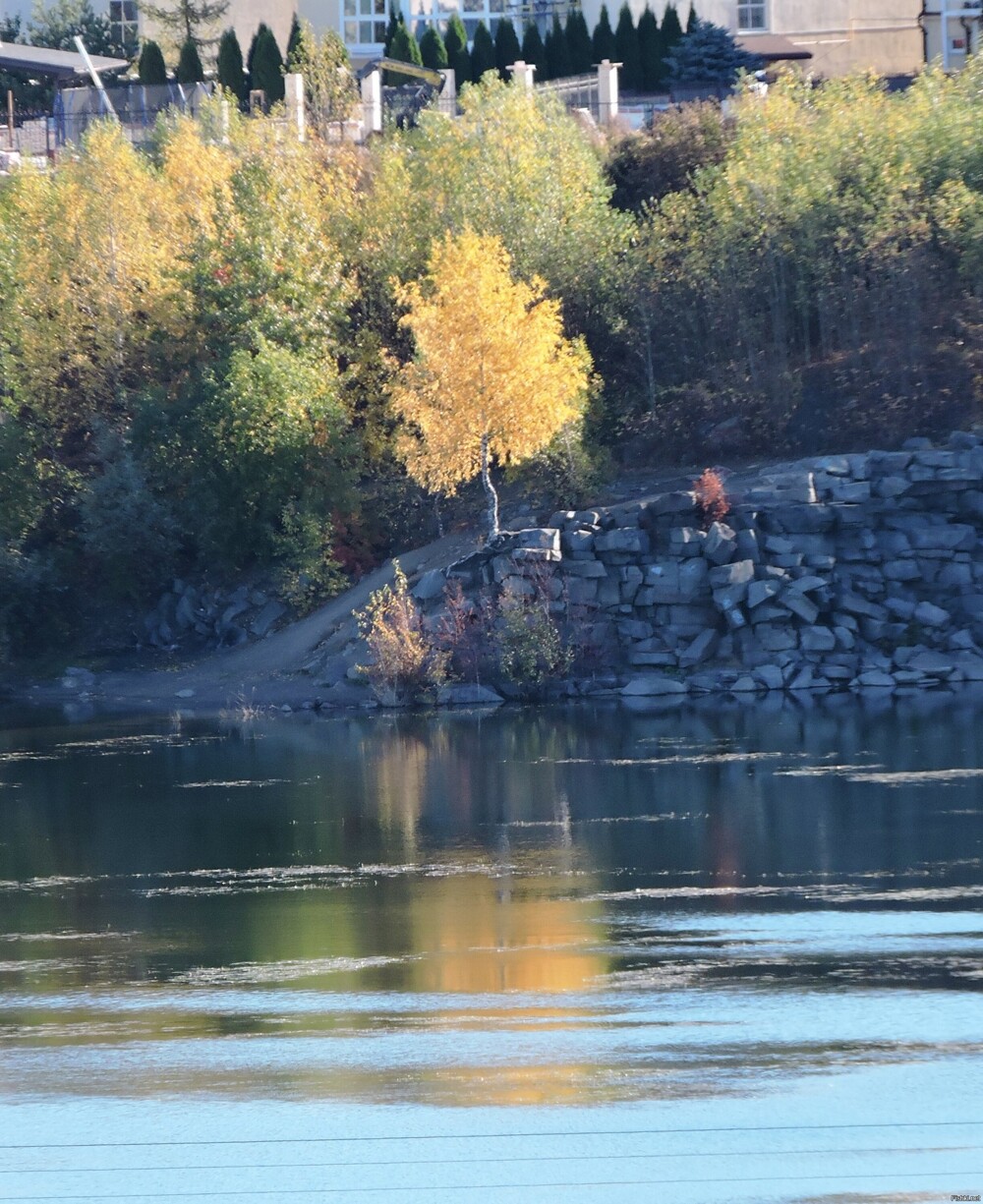 На берегу Каменного Бора