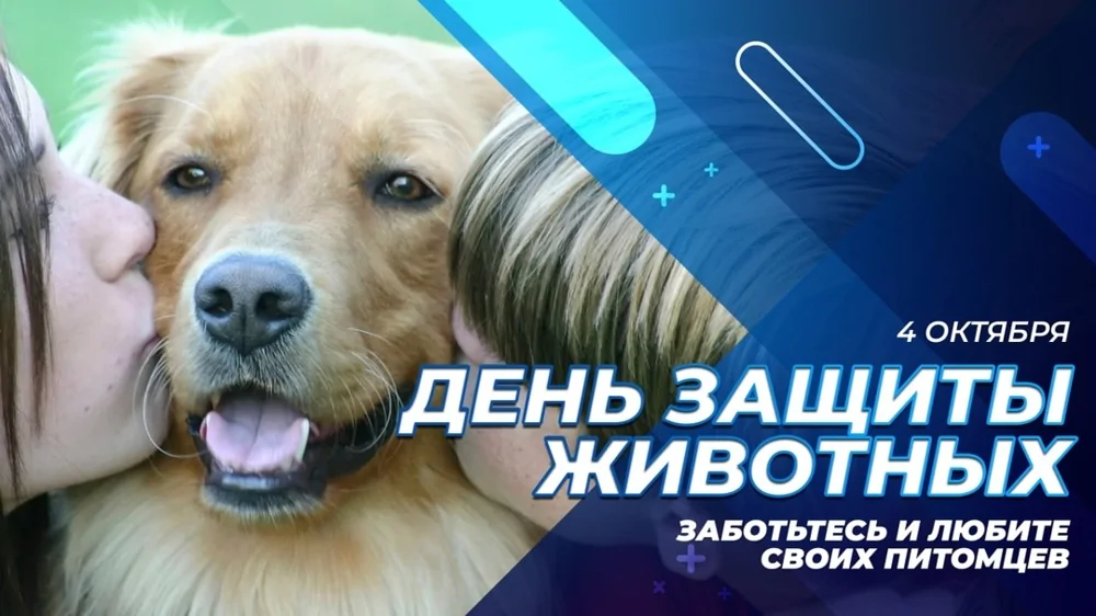 b796febae22d9bd3bc0ac4660254c6ac.jpg.web