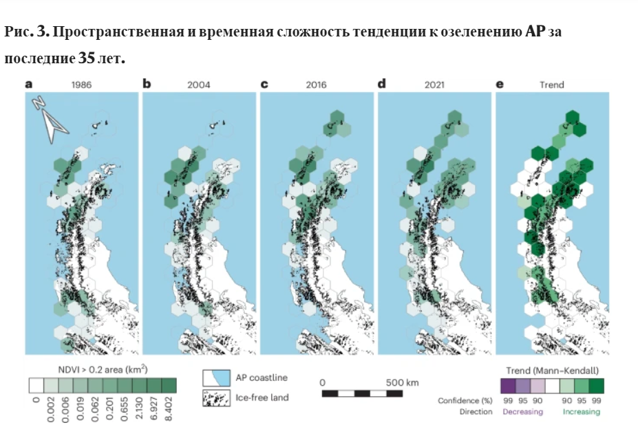 Антарктида стремительно зеленеет