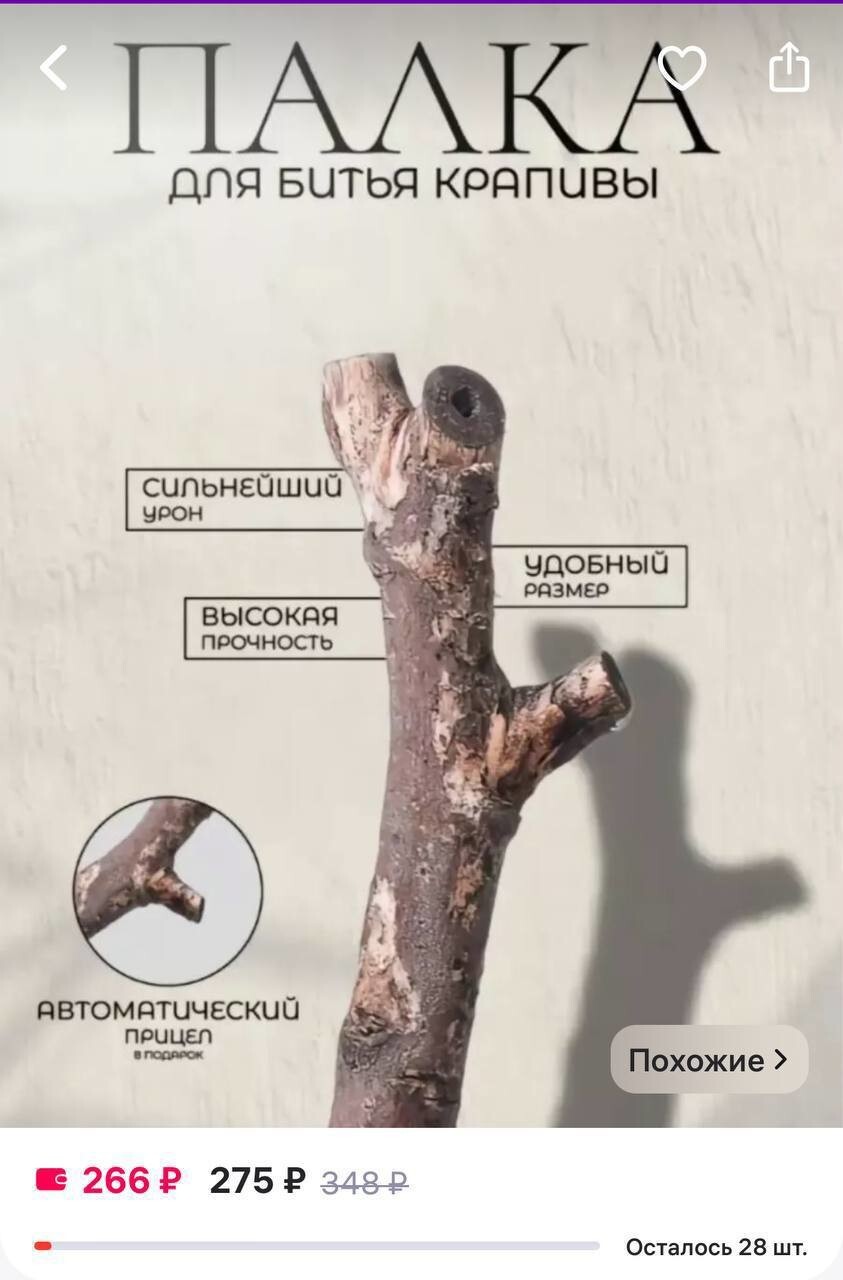 Как с помощью обычной палки можно сделать неплохой бизнес