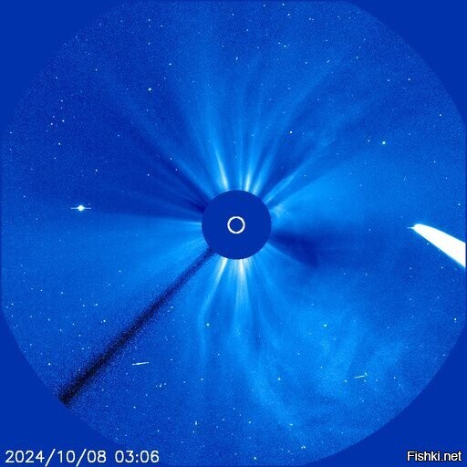 Комета C/2023 A3 (Цзыцзиньшань-ATLAS) попала на объектив LASCO космической со...