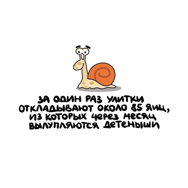 А вдруг ты не знал…