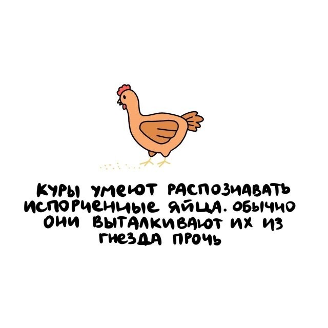 А вдруг ты не знал…