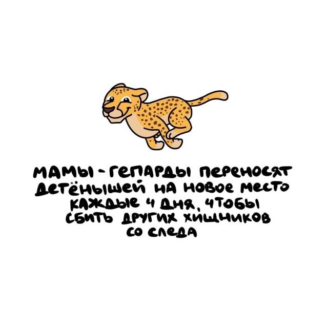 А вдруг ты не знал…