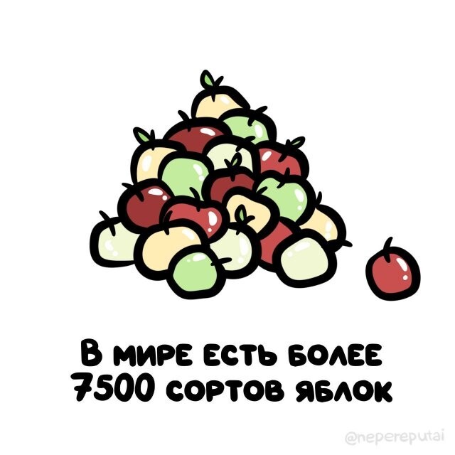 А вдруг ты не знал…