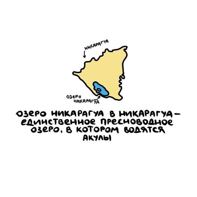 А вдруг ты не знал…