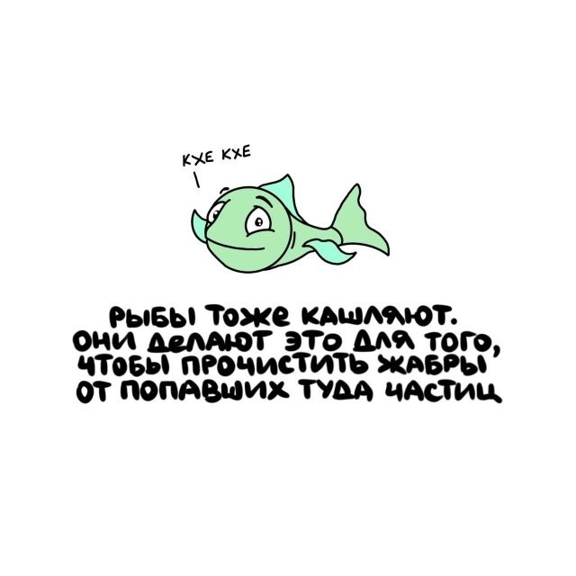 А вдруг ты не знал…