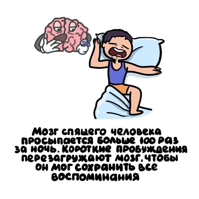 А вдруг ты не знал…