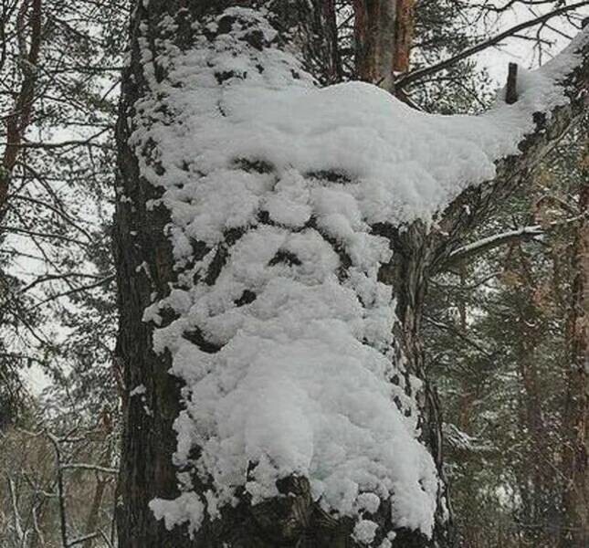  Намешалось 