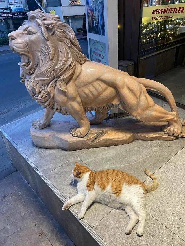  Намешалось 