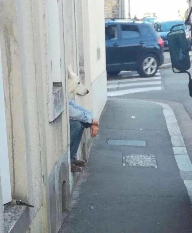  Намешалось 