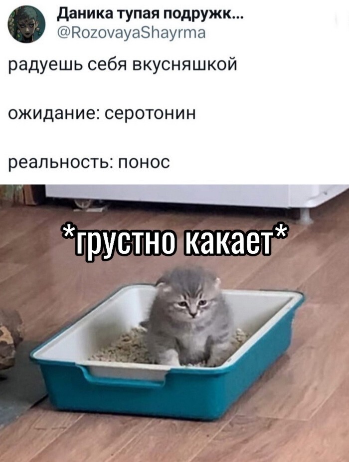 Не ищите здесь смысл. Здесь в основном маразм