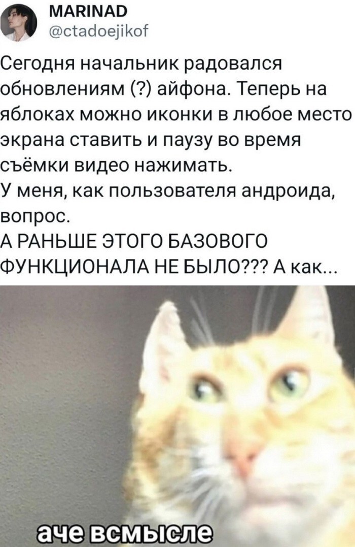 Не ищите здесь смысл. Здесь в основном маразм