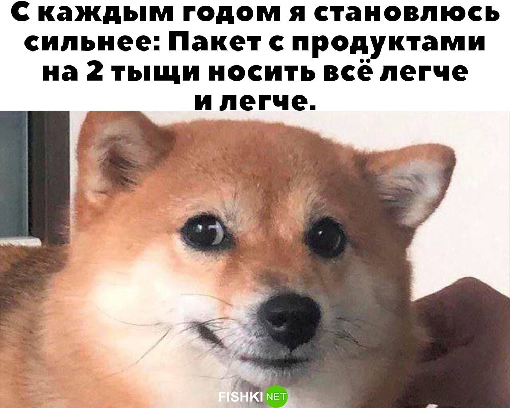 И даже в зал не хожу!