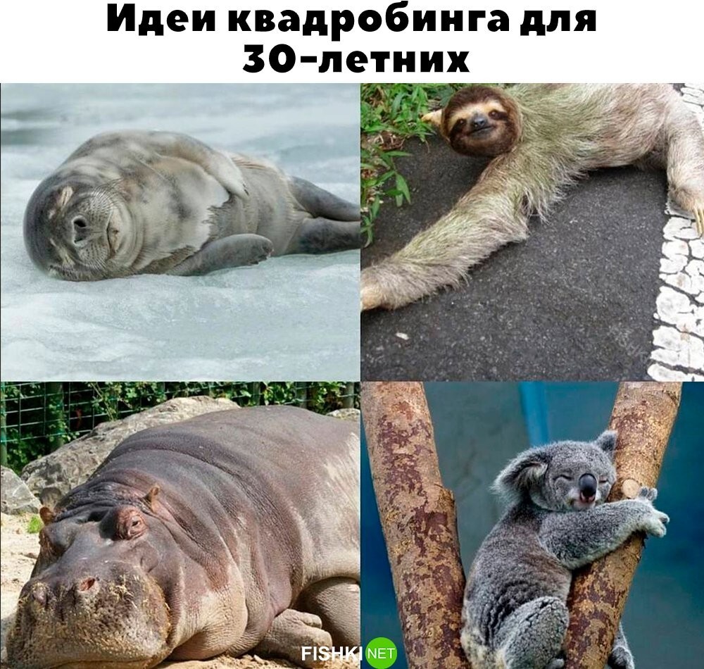 Идеально!