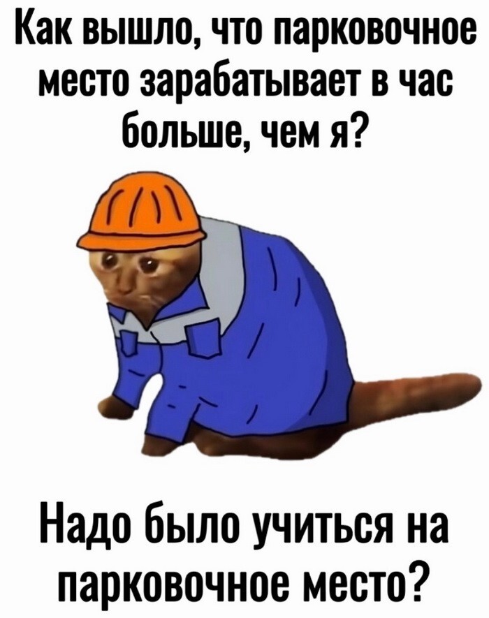 Скрины из соцсетей            