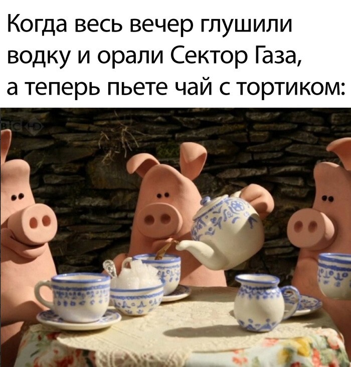 Скрины из соцсетей            