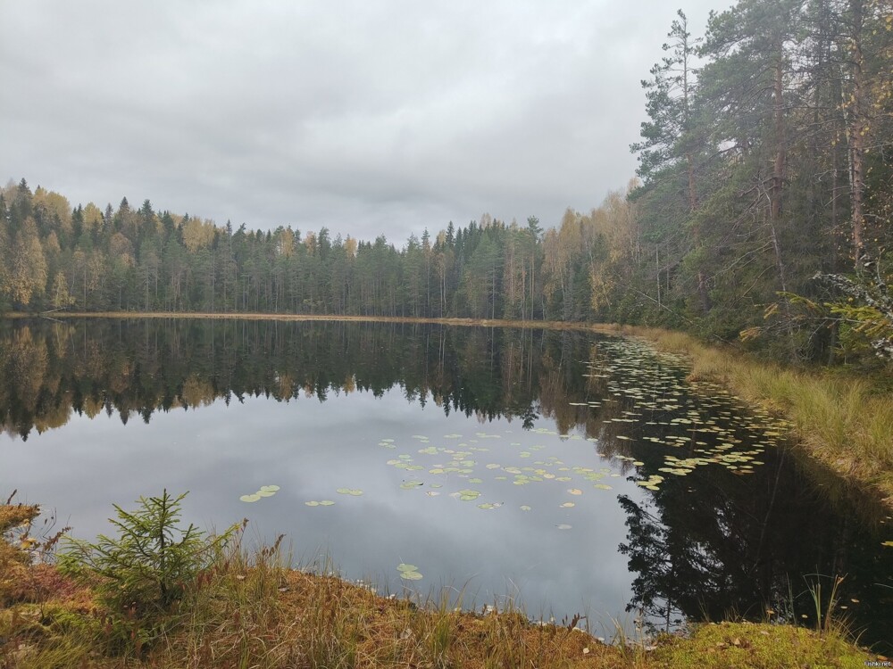 осень в южной Карелии